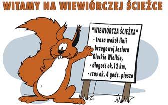 6 Wiewiórcza œcie ka Wiewiórcza Œcie ka to dwunastokilometrowa trasa wokó³ Jeziora Oleckie Wielkie doskonale znana mieszkañcom miasta.