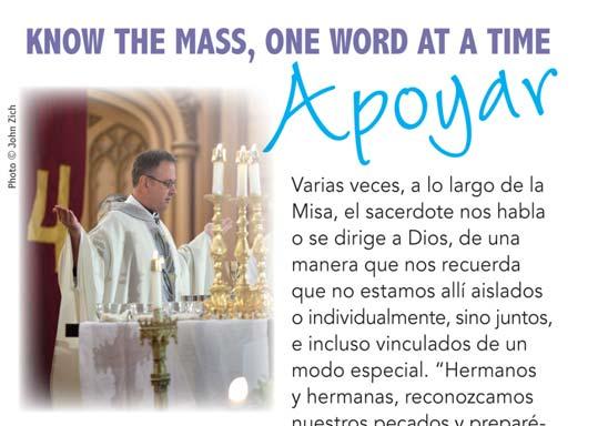 Anuncios Parroquiales 12 de Mayo de 2013 La Ascensión del Señor En aquel tiempo dijo Jesús a sus discípulos: Así estaba escrito: el Mesías padecerá, resucitará de entre los muertos al tercer día y en
