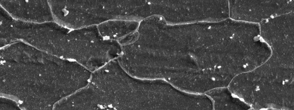 Mikrostruktura stali DC01 Fig. 1.