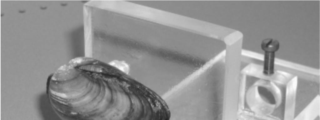 Mussels with measurement probes Wizualizacja danych w postaci