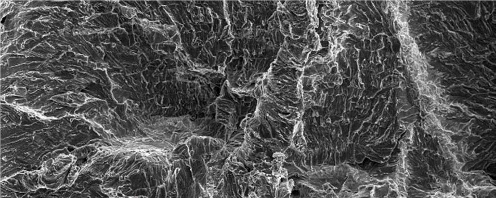 View of the fracture surfaces with fishes eyes of samples of steel DC01  Terms of