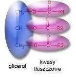 Pomagają w utrzymaniu stałej temperatury ciała.