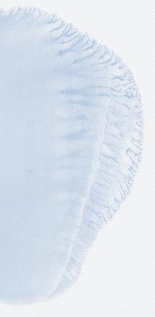 44 x 78, z baterią kolory: grafit,