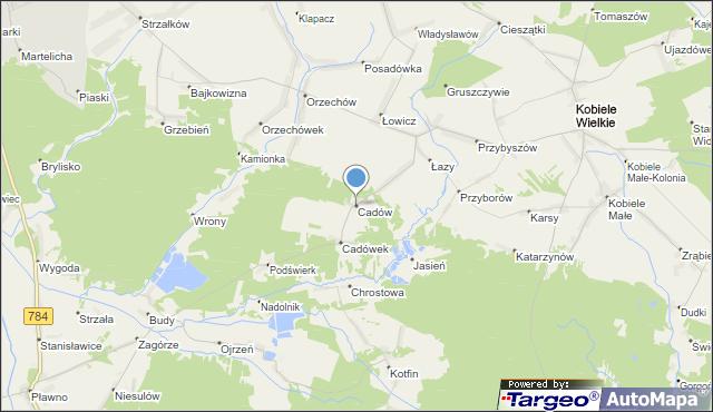 Cadów oddalony jest od miasta powiatowego Radomska o ponad 16 kilometrów.