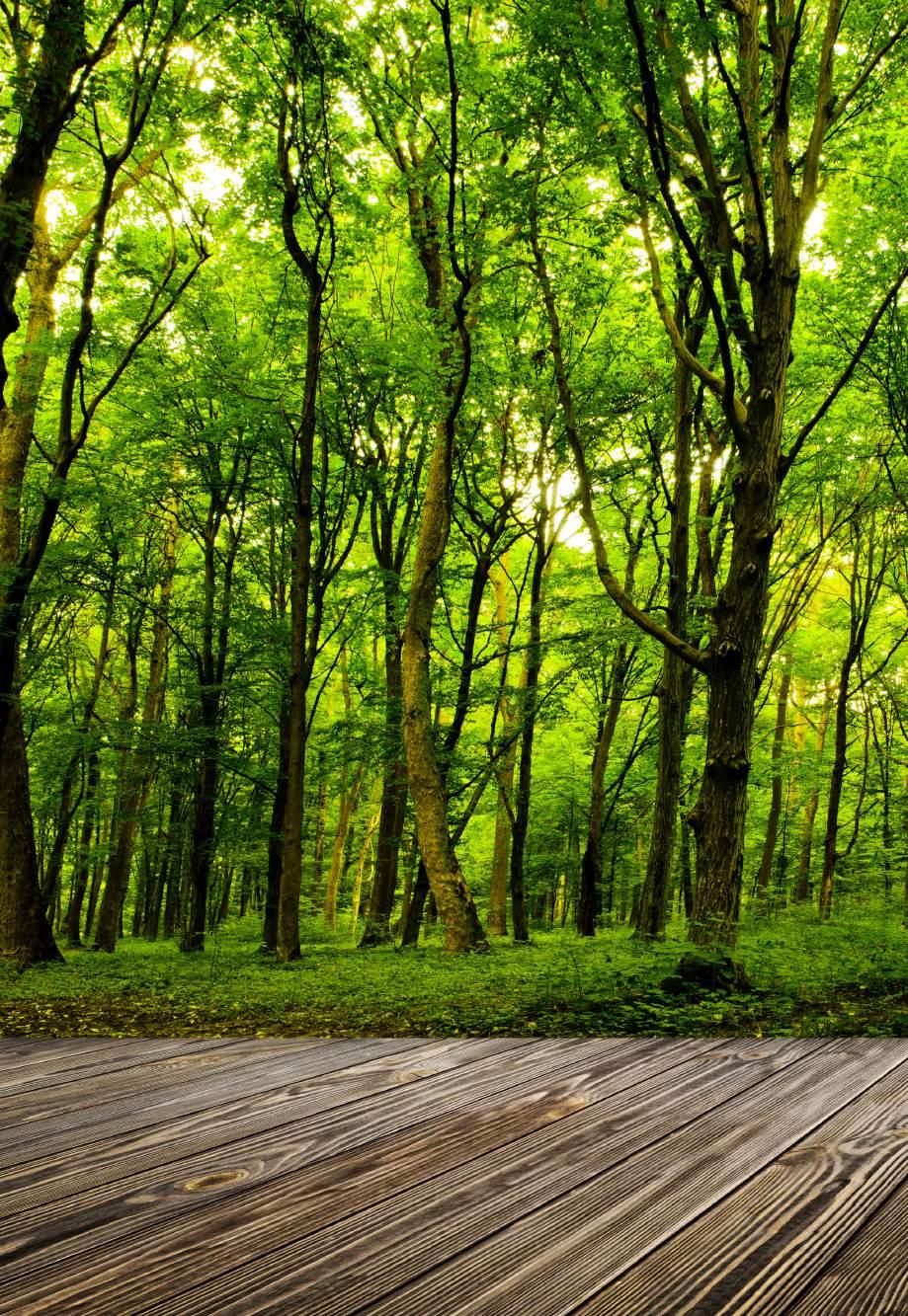 Przedstawiciel KLIMATYZATORY VIVAX Zdjęcia produktów mogą nieznacznie różnić się od rzeczywistych.