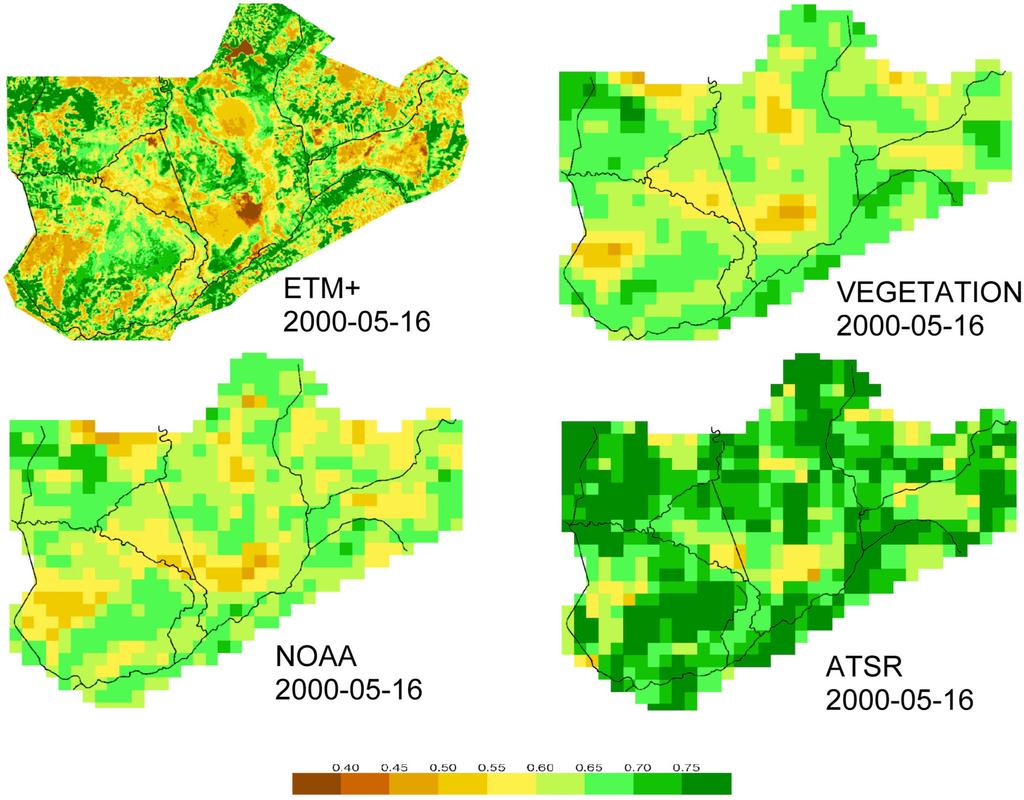 Satellite-derived vegetation indices for Biebrza wetland Fig. shows distribution of GEMI index for the area of Middle Basin. Also, GEMI index was calculated from +ETM data in its resolution.