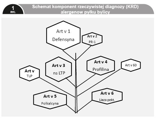 Art v 1 defensyna Art v 1 [wg oficjalnej nomenklatury WHO IUIS] to główny alergen pyłku pylicy pospolitej, z racji obronnej funkcji biologicznej nazywany także defensyną [15].