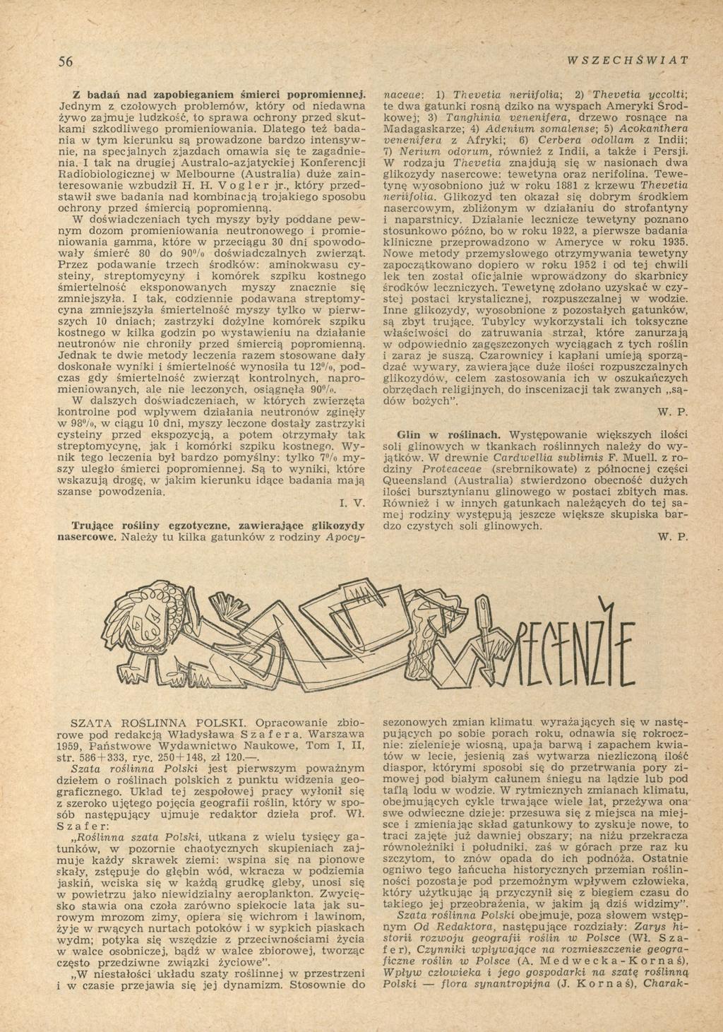 Trujący bluszcz pornicki