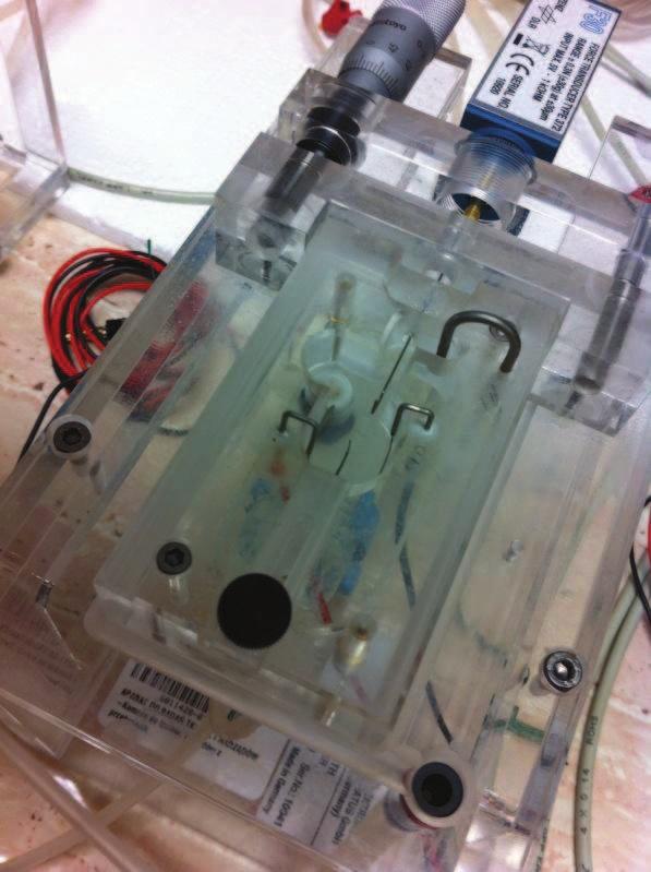 Tissue Bath of Hugo Sachs Elektronik,