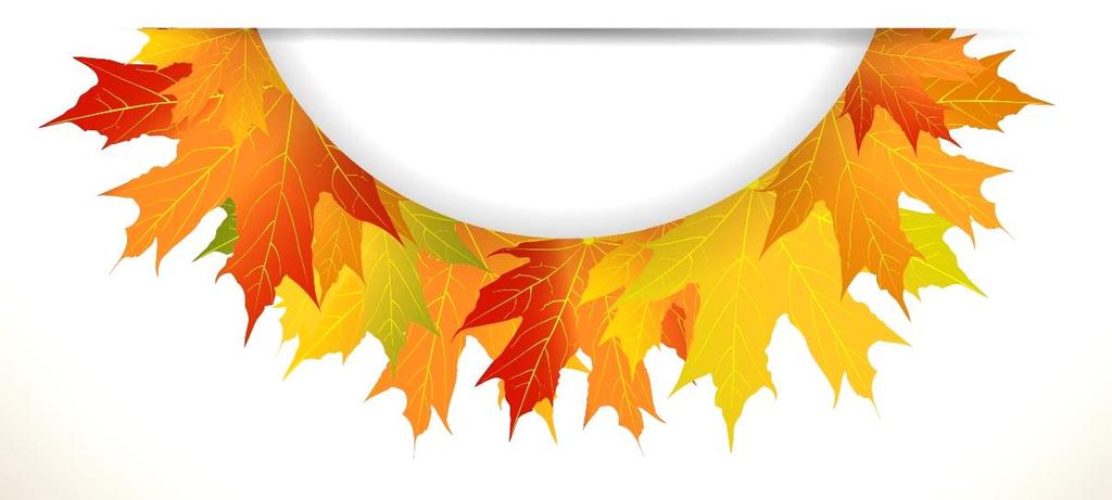 Autumn leaves on the ground.