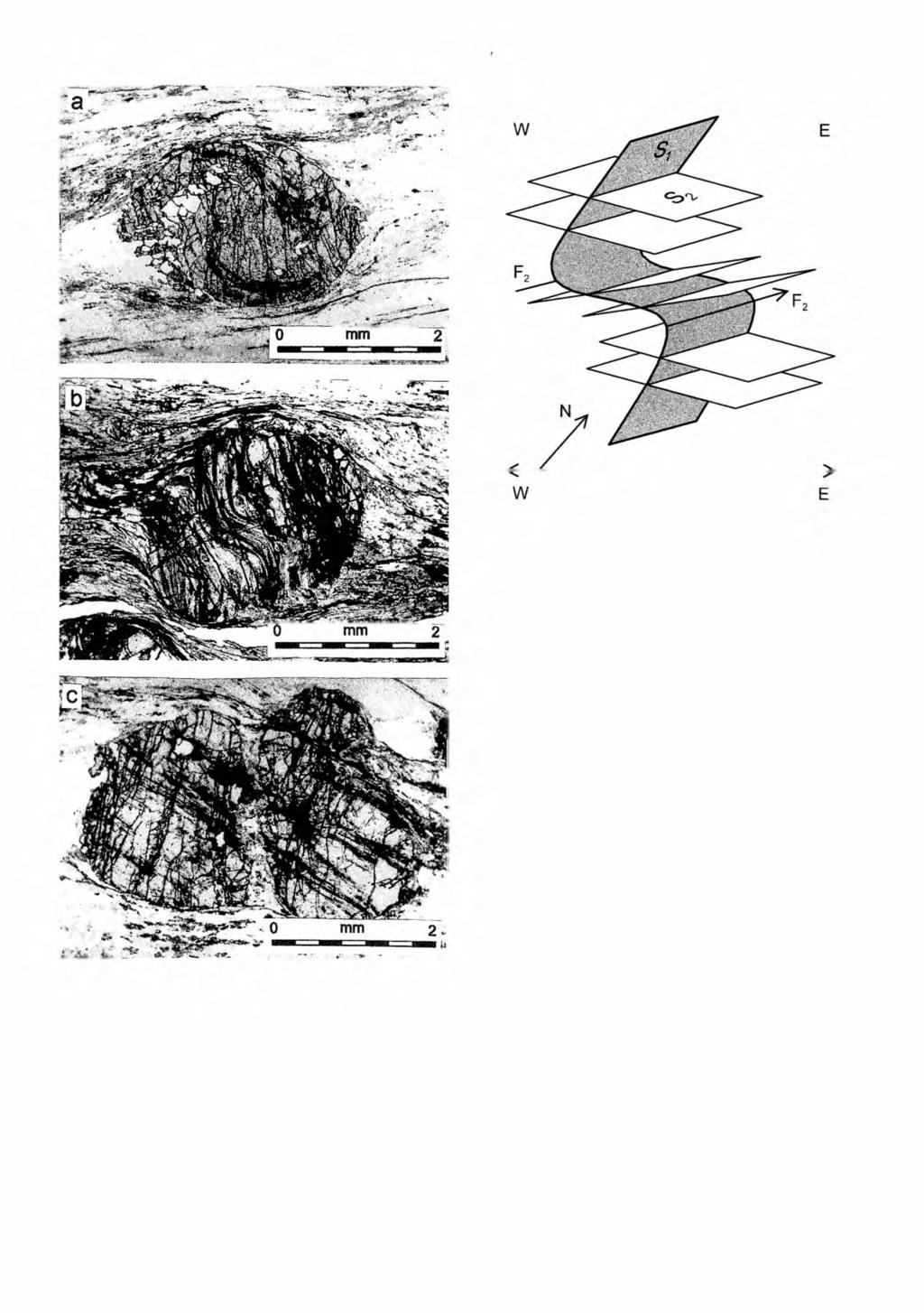 10 S. MAZUR & D. JOZEFIAK Fig. 10. Geometry of F2 folds of NW asymmetry and axes trending NE-SW to ENE-WSW.
