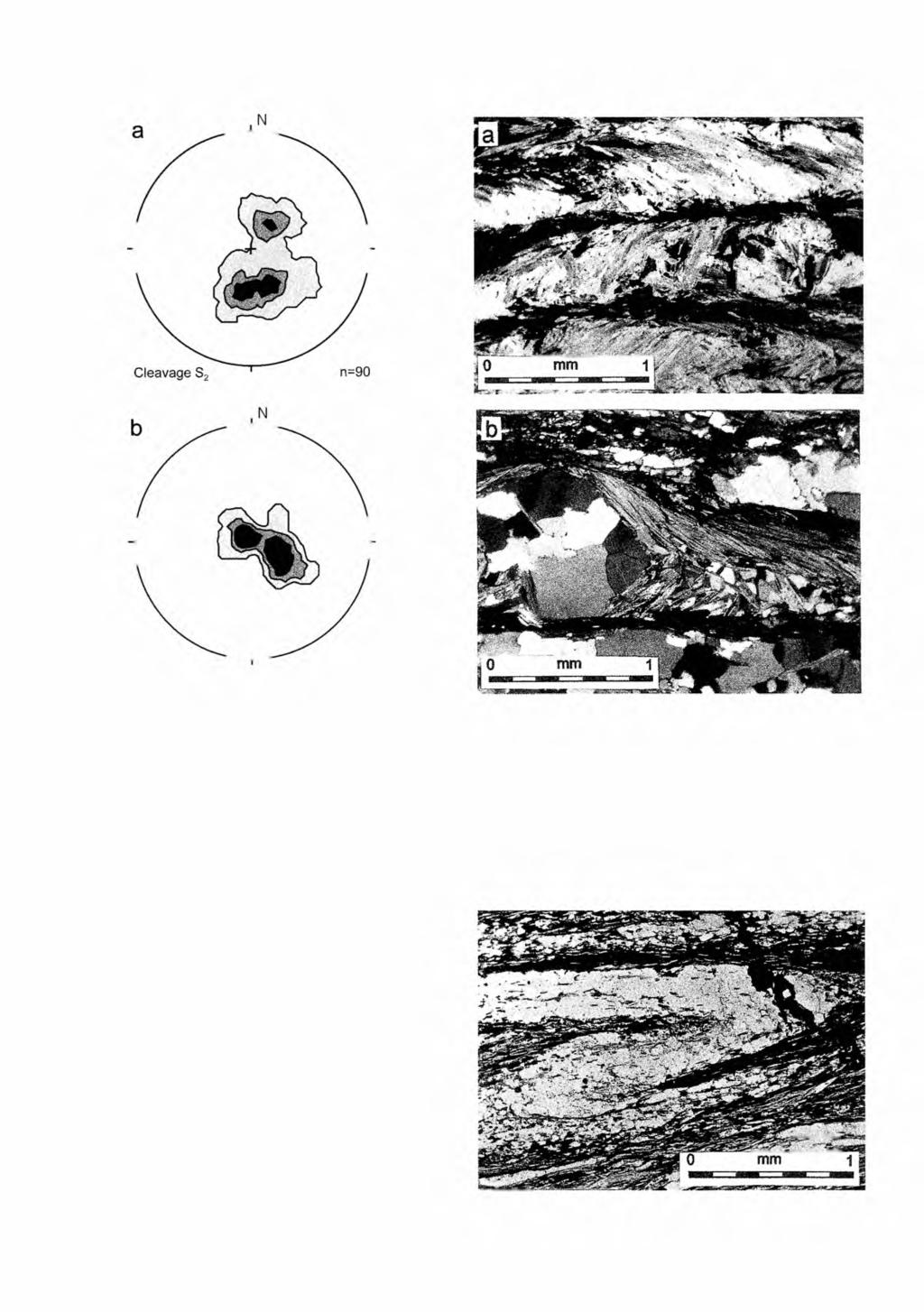 EXTENSIONAL COLLAPSE IN THE MICA SCHISTS 11 Cleavage S2 n=40 Fig. 11. Attitude of crenulation cleavage S2 in coarse-grained mica schists. Equal-area net, lower hemisphere.