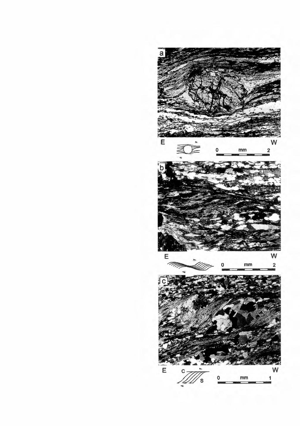 EXTENSIONAL COLLAPSE IN THE MICA SCHISTS 13 Fig. 16. Examples of kinematic indicators related to the D3 deformation in the mica schists from the vicinity of Kamieniec Ząbkowicki.