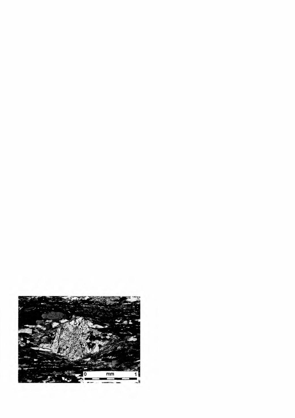 6 S. MAZUR & D. JÓZEFIAK of fibrolite in muscovite, gamet and quartz. Fibrolite is also visible in pressure shadows of staurolite grains and around analusite porphyroblasts.