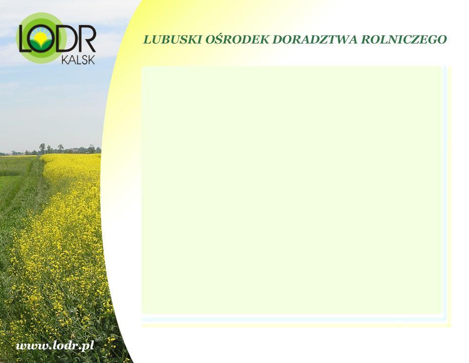 Zasady rachunkowości