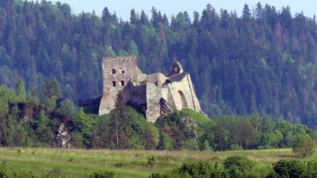 Początki istnienia tego zamku są datowane na XIII wiek kiedy to księżna Kinga ufundowała warownię o