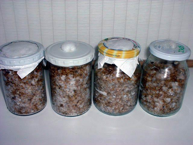 6 dni po