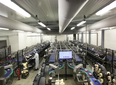 ProMessa www.pro-messa.nl ProMessa BV, część koncernu Coop Productiebedrijven BV jest centralnym zakładem rzeźniczym dla kilku supermarketów.