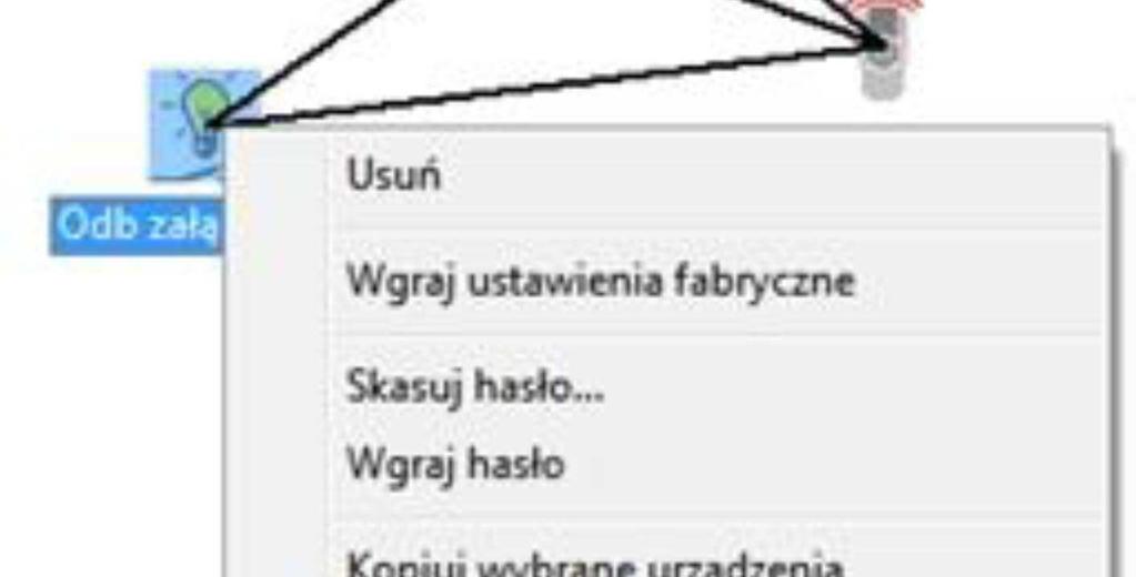 do którego osoba tworząca system ma dostęp. W efekcie w programie powstaje przykładowo 20 jednostek oznaczonych tym samym symbolem oraz nazwą, których lokalizacja jest nieznana.