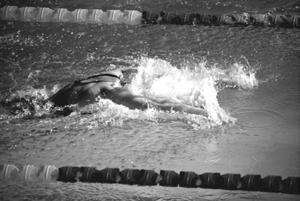 Wystawę Pływanie to pasja i dobra zabawa Tomek dedykował przede wszystkim swoim kolegom z drużyny, którzy tworzą wspaniały Swim Team, jak również swoim trenerom, a zwłaszcza mgr.