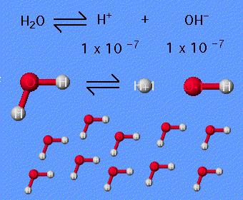 K = [ H ][ OH ] 16 [ H 2 O] 10 K w = K[ H2O] = [ H ][ OH ] = 10 14 [ H ][ OH ] = 10 14 w temp ~25 o