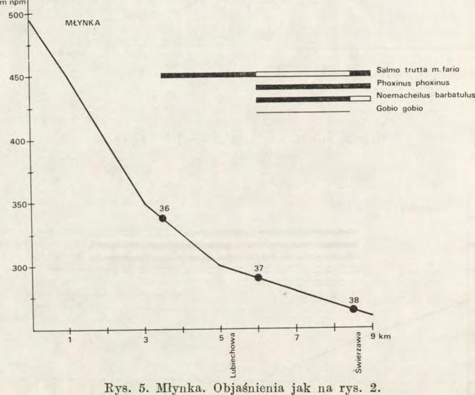 Udział poszczególnych gatunków przedstaw ia się następująco: pstrąg potokow y 40,8%, strzebla potokow a 17,4%, śliz 24,2%, lin 2,7%, k araś 2,6%, kiełb 1,0%, lipień 0,7% i płoć 0,6%.