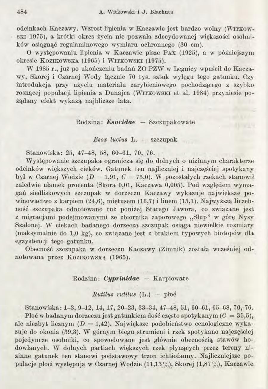 484 A. W itkow ski i J. B łachuta odcinkach Kaczawy.
