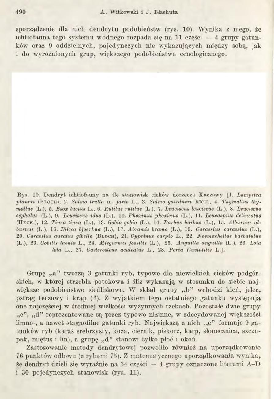 490 A. W itkow ski i J. B łachuta sporządzenie dla nich dendrytu podobieństw (rys. 10).
