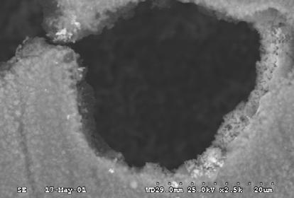 8. Mikrostruktura powierzchni warstwy Ni-Si 3N 4 (11% Si 3N 4) po ekspozycji korozyjnej Fig. 8. Microstructure of the Ni-Si 3N 4 (11% Si 3N 4) coating surface after Rys. 5.