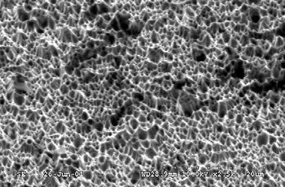 Microstructure of the Ni-P-Si 3N 4 (17% Si 3N 4) composite layer surface with visible fragment after Rys. 9. Mikrostruktura powierzchni warstwy Ni-P-Si 3N 4 (17% Si 3N 4) po ekspozycji korozyjnej Fig.