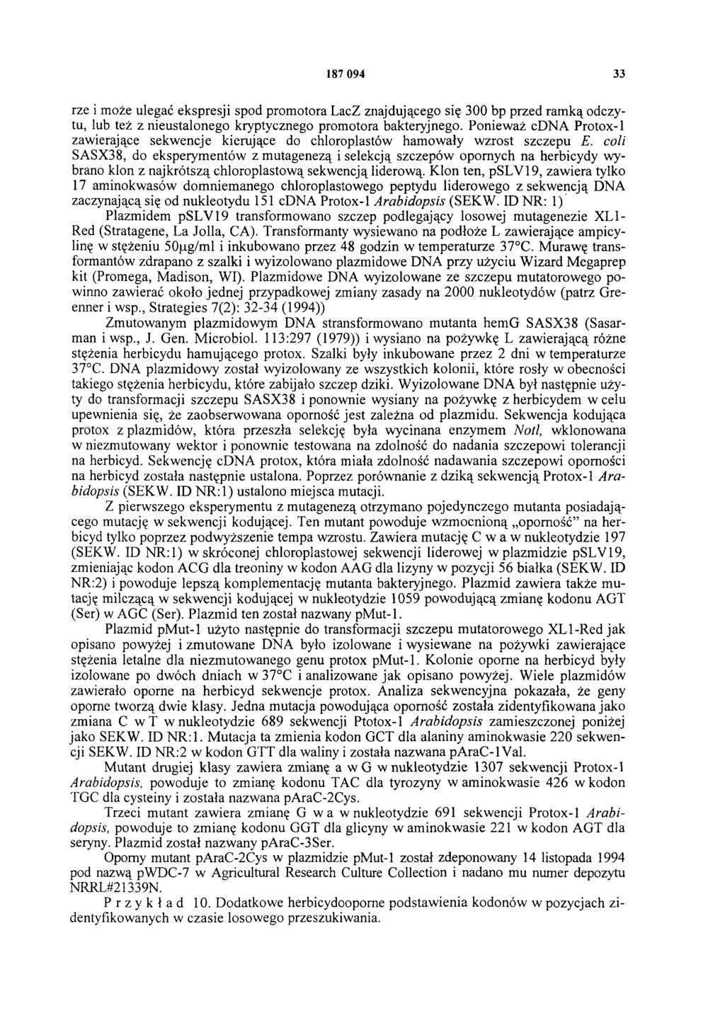 187 094 33 rze i może ulegać ekspresji spod promotora LacZ znajdującego się 300 bp przed ramką odczytu, lub też z nieustalonego kryptycznego promotora bakteryjnego.