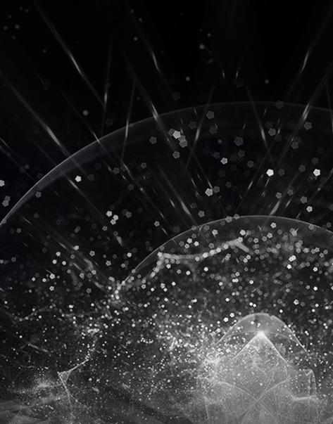 DLACZEGO WYBRAĆ WHEEL LYNX SSL/TLS DECRYPTOR? 1. 2. 3.