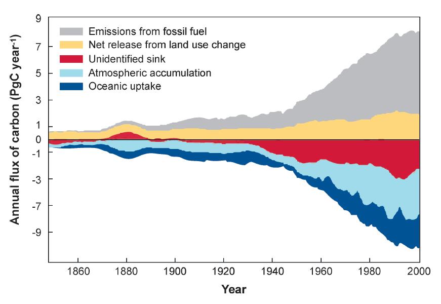 Gdzie się podziewa ten węgiel? Tylko część wyprodukowanego przez nas CO2 pozostaje w atmosferze.