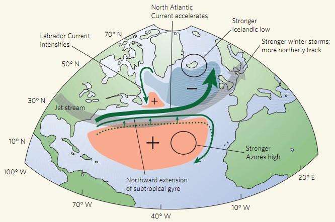 Ciekawostka: wpływ NAO na wymianę CO2 z oceanem Rysunek pokazuje wpływ dodatniego NAO na zmianę cyrkulacji atmosferycznej (zielone strzałki)