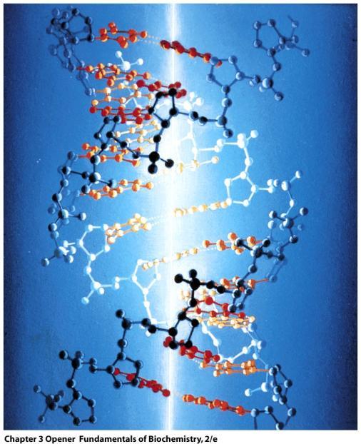 Struktura DNA (1953) James Watson,