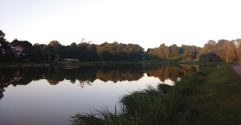 33-42 Fot. 2. Staw na Dramie w Kamieńcu (fot. M. Gernot). Photo 2. Pond on the Drama in Kamieniec (photo. M. Gernot). W Kamieńcu występują bardzo licznie kamieniołomy, jeden z nich znajduje się przy rozlewisku na Dramie (fot.