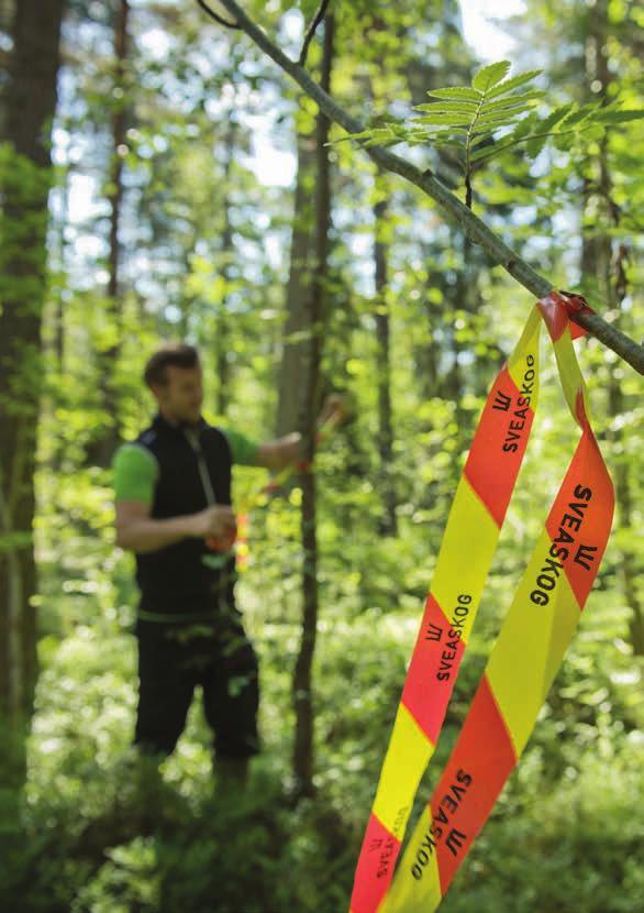 Nasza wizja Chcemy być czołowym przedsiębiorstwem leśnym OZNACZA TO, ŻE Jesteśmy najbardziej rentownym przedsiębiorstwem w perspektywie krótko- i długofalowej.