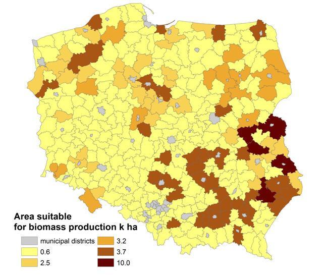 Jaki jest potencjał ekonomiczny produkcji biomasy w