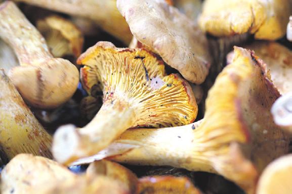 To trudne bardzo zadanie, bo musi to być samolot wykonany pod nadzorem inspektora lotnictwa. O ile starczy sił, pieniędzy i czasu będę starał się tego dokonać zdradza bialski rekonstruktor.