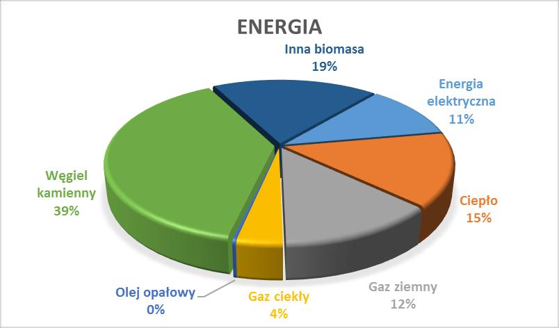 Rysunek VI.5. Podział zużycia energii przez obiekty z sektora budynki mieszkalne w 2010 r. Źródło: opracowanie własne Tabela VI.11. Emisja CO2 przez obiekty z sektora budynki mieszkalne w 2010 r.