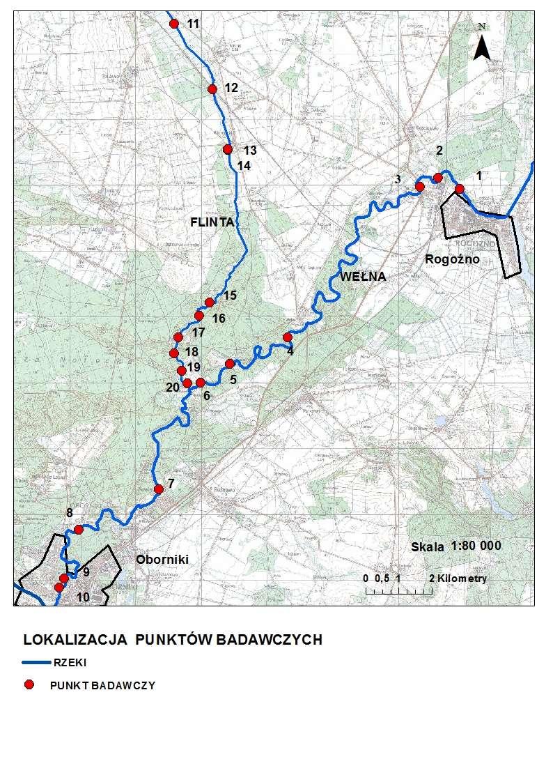 Flinta Wełna Nr Rzeka Nazwa stanowiska 1. Rogoźno 1 2. Rogoźno 2 3. Jaracz - Młyn 4.