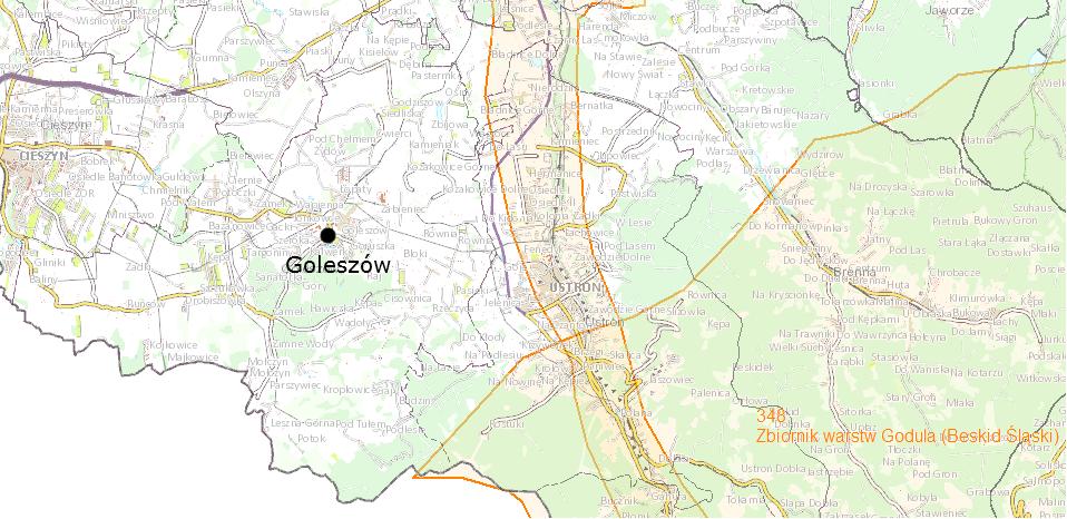 Informacje na ich temat znajdują się w poniższych tabelach. Tabela 11.Charakterystyka JCWPd nr 155.