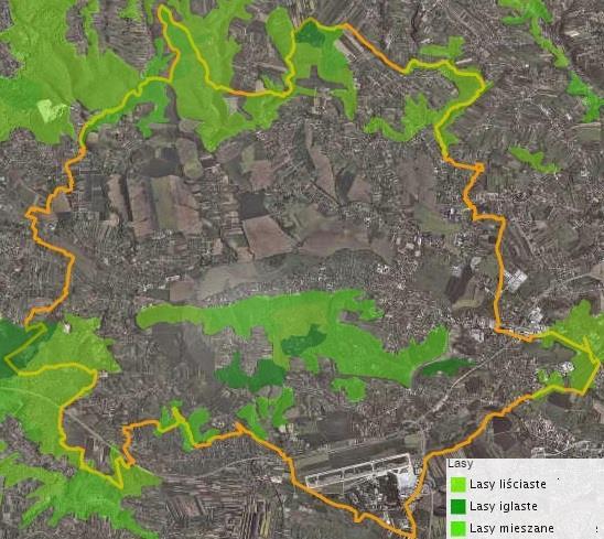 Rysunek 41. Struktura lasów na terenie Gminy Zabierzów. Źródło: geoserwis.gdos.gov.