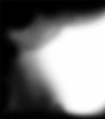 ł o s e 88 W