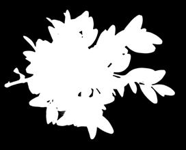 1 kg)