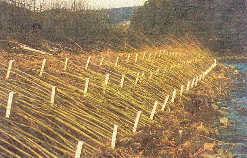 Podział umocnień i budowli regulacyjnych c.d. Przykład