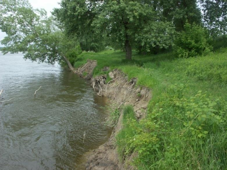 Podział umocnień i