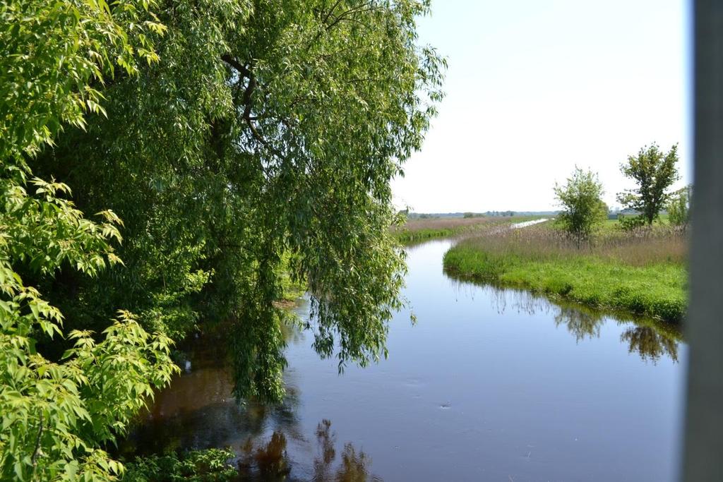 porośnięty roślinnością złożoną. Pojawiają się tam lasy liściaste. Obydwa brzegi rzeki są podmokłe i nieużytkowane rolniczo (rys. 38).