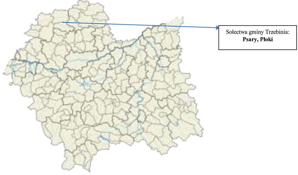 jego skrócenie, brązowienie i zanik włośników, symulację lignifikacji korzenia oraz zmianami morfologicznymi części nadziemnej rośliny przez chlorozę, nekrozę i flawonoidowe przebarwienia liści,