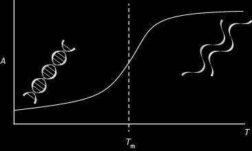 FEP G U + G ss = G duplex + G PSU G duplex - G ss = G